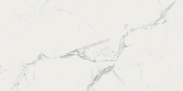  Ragno Imperiale Statuarietto 58x116 cm Vloertegel / Wandtegel Glanzend Vlak Glossy R72G | 388405