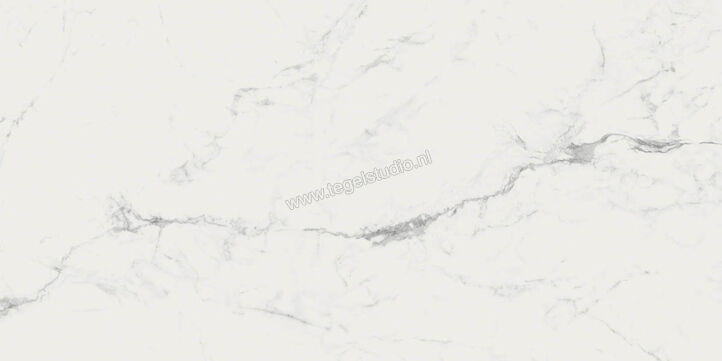  Ragno Imperiale Statuarietto 58x116 cm Vloertegel / Wandtegel Glanzend Vlak Glossy R72G | 388408