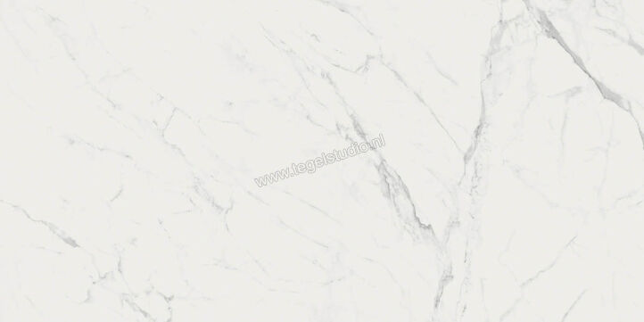  Ragno Imperiale Statuarietto 58x116 cm Vloertegel / Wandtegel Glanzend Vlak Glossy R72G | 388411