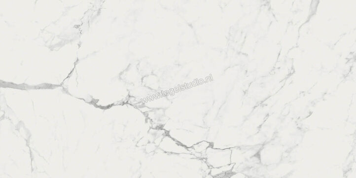  Ragno Imperiale Statuarietto 58x116 cm Vloertegel / Wandtegel Glanzend Vlak Glossy R72G | 388414