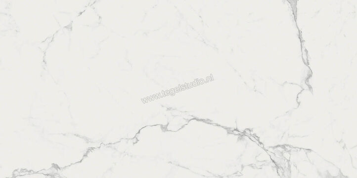  Ragno Imperiale Statuarietto 58x116 cm Vloertegel / Wandtegel Glanzend Vlak Glossy R72G | 388417