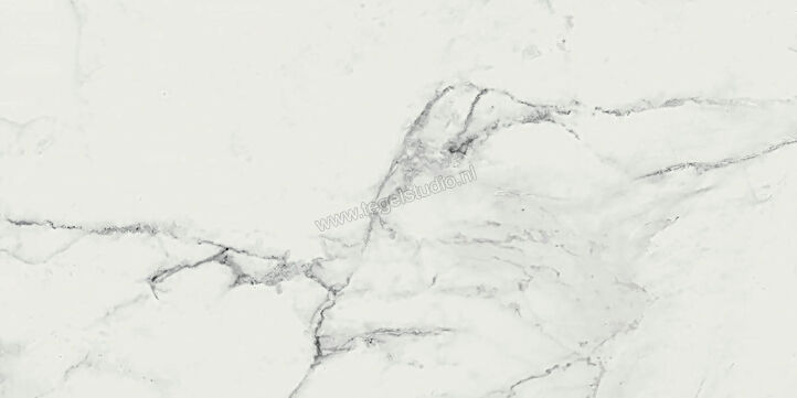 Ragno Imperiale Venato 58x116 cm Vloertegel / Wandtegel Glanzend Vlak Glossy R710 | 388426