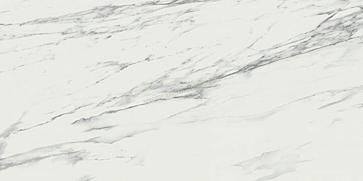  Ragno Imperiale Venato 58x116 cm Vloertegel / Wandtegel Glanzend Vlak Glossy R710 | 388429