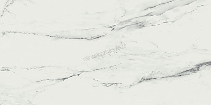  Ragno Imperiale Venato 58x116 cm Vloertegel / Wandtegel Glanzend Vlak Glossy R710 | 388432