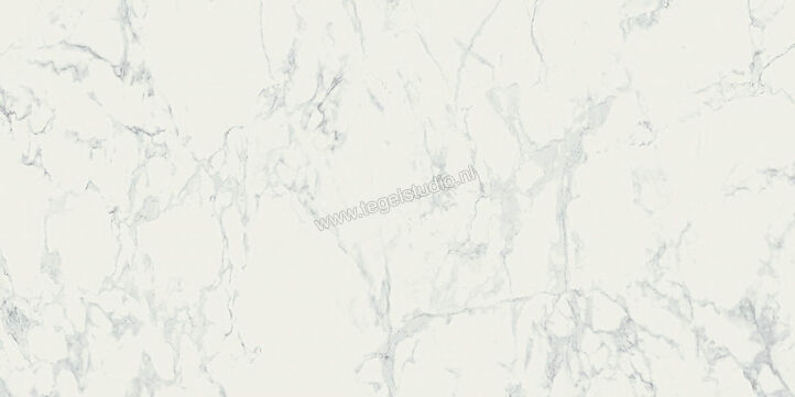  Ragno Imperiale Bianco 58x116 cm Vloertegel / Wandtegel Glanzend Vlak Glossy R70Z | 388435