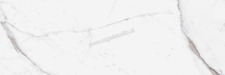  Ragno Mixed Statuario Venato 40x120 cm Wandtegel Mat Vlak Naturale R9UF | 388987