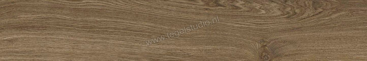  Ragno Ossimori Marrone 20x120 cm Vloertegel / Wandtegel Extra Matt Mat Vlak Naturale R9TK | 389536