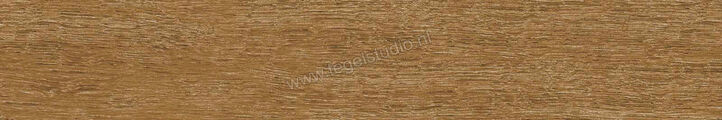  Ragno Ossimori Miele 20x120 cm Vloertegel / Wandtegel Extra Matt Mat Vlak Naturale R9TJ | 389548