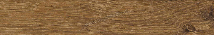  Ragno Ossimori Miele 20x120 cm Vloertegel / Wandtegel Extra Matt Mat Vlak Naturale R9TJ | 389554
