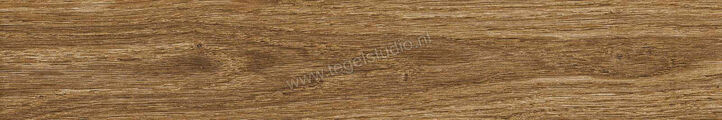  Ragno Ossimori Miele 20x120 cm Vloertegel / Wandtegel Extra Matt Mat Vlak Naturale R9TJ | 389563