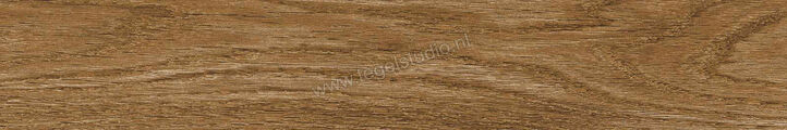  Ragno Ossimori Miele 20x120 cm Vloertegel / Wandtegel Extra Matt Mat Vlak Naturale R9TJ | 389566