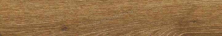  Ragno Ossimori Miele 20x120 cm Vloertegel / Wandtegel Extra Matt Mat Vlak Naturale R9TJ | 389569