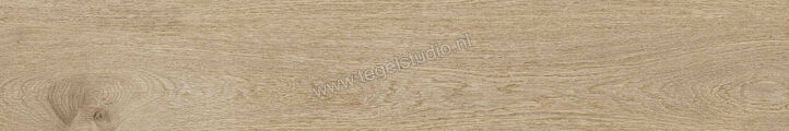  Ragno Ossimori Avorio 20x120 cm Vloertegel / Wandtegel Extra Matt Mat Vlak Naturale R9TG | 389599