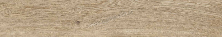  Ragno Ossimori Avorio 20x120 cm Vloertegel / Wandtegel Extra Matt Mat Vlak Naturale R9TG | 389605