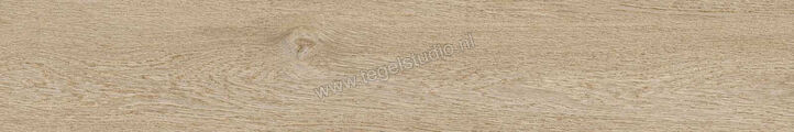  Ragno Ossimori Avorio 20x120 cm Vloertegel / Wandtegel Extra Matt Mat Vlak Naturale R9TG | 389617