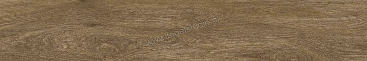  Ragno Ossimori Marrone 20x120 cm Vloertegel / Wandtegel Mat Vlak Naturale R9TE | 389632