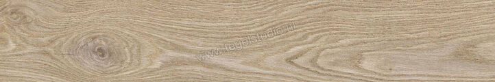  Ragno Ossimori Avorio 20x120 cm Vloertegel / Wandtegel Mat Vlak Naturale R9TA | 389698