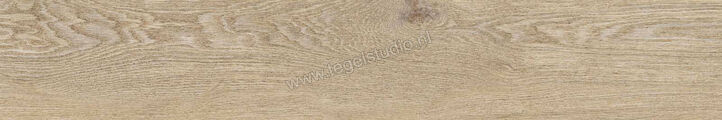  Ragno Ossimori Avorio 20x120 cm Vloertegel / Wandtegel Mat Vlak Naturale R9TA | 389707