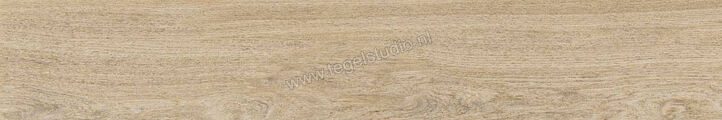  Ragno Ossimori Avorio 20x120 cm Vloertegel / Wandtegel Mat Vlak Naturale R9TA | 389710