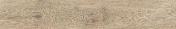  Ragno Ossimori Avorio 20x120 cm Vloertegel / Wandtegel Mat Vlak Naturale R9TA | 389713