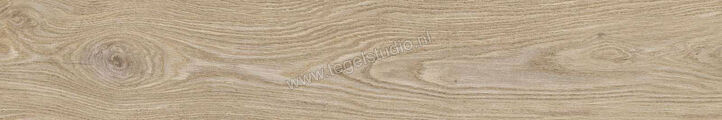  Ragno Ossimori Avorio 25x150 cm Vloertegel / Wandtegel Mat Vlak Naturale R9RH | 389938