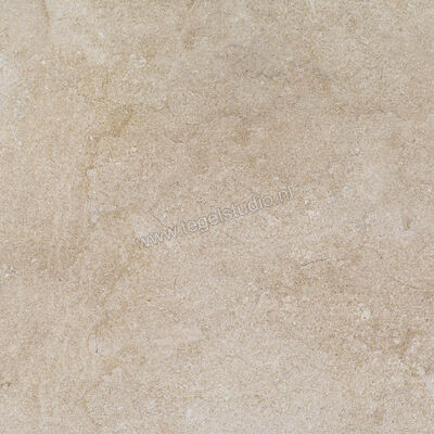  Ragno Realstone_Jerusalem Noce 60x60 cm Vloertegel / Wandtegel Mat Vlak Naturale R052 | 390829
