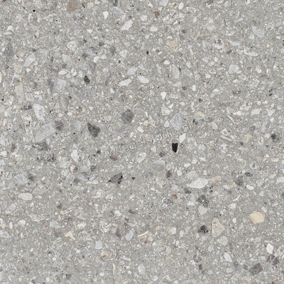  Ragno Realstone_Navigli Grigio 60x60 cm Vloertegel / Wandtegel Mat Vlak Naturale R7JT | 391939