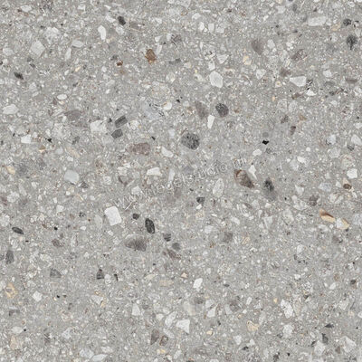  Ragno Realstone_Navigli Grigio 60x60 cm Vloertegel / Wandtegel Mat Vlak Naturale R7JT | 391948