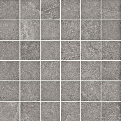  Ragno Realstone_Slate Iron 30x30 cm Mozaiek 5x5 Mat Gestructureerd Naturale R6GV | 393139