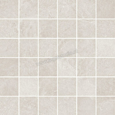  Ragno Realstone_Slate Ice 30x30 cm Mozaiek 5x5 Mat Gestructureerd Naturale R6GQ | 393145