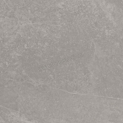  Ragno Realstone_Slate Iron 60x60 cm Vloertegel / Wandtegel Mat Gestructureerd Naturale R5ZH | 393382