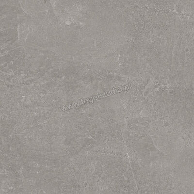  Ragno Realstone_Slate Iron 60x60 cm Vloertegel / Wandtegel Mat Gestructureerd Naturale R5ZH | 393385