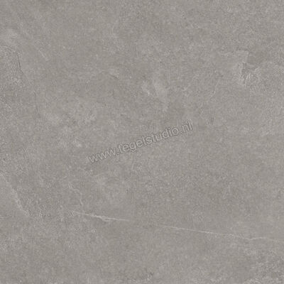  Ragno Realstone_Slate Iron 60x60 cm Vloertegel / Wandtegel Mat Gestructureerd Naturale R5ZH | 393388