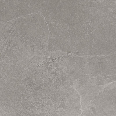  Ragno Realstone_Slate Iron 60x60 cm Vloertegel / Wandtegel Mat Gestructureerd Naturale R5ZH | 393391