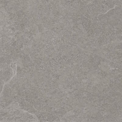  Ragno Realstone_Slate Iron 60x60 cm Vloertegel / Wandtegel Mat Gestructureerd Naturale R5ZH | 393394