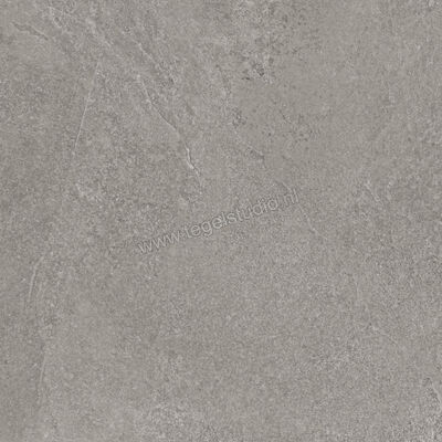  Ragno Realstone_Slate Iron 60x60 cm Vloertegel / Wandtegel Mat Gestructureerd Naturale R5ZH | 393400