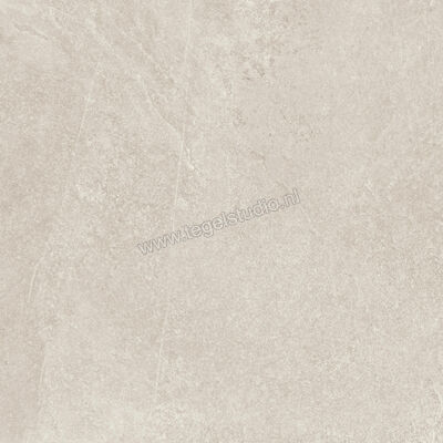  Ragno Realstone_Slate Shell 60x60 cm Vloertegel / Wandtegel Mat Gestructureerd Naturale R5ZG | 393403