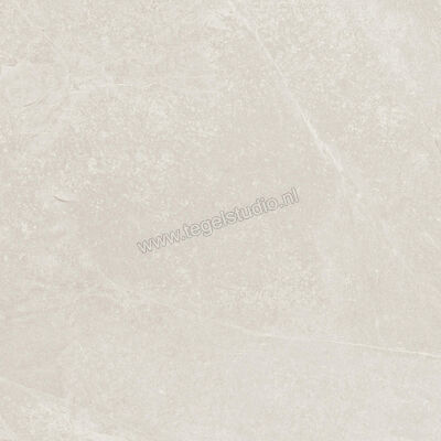  Ragno Realstone_Slate Ice 60x60 cm Vloertegel / Wandtegel Mat Gestructureerd Naturale R5ZF | 393406