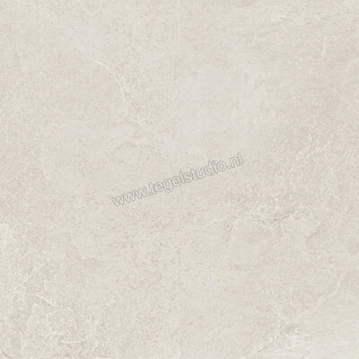  Ragno Realstone_Slate Ice 60x60 cm Vloertegel / Wandtegel Mat Gestructureerd Naturale R5ZF | 393409