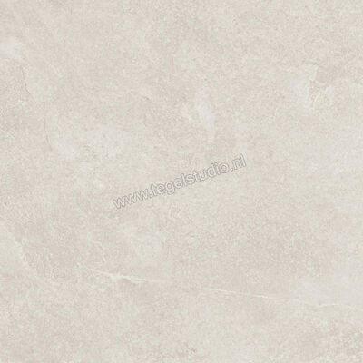  Ragno Realstone_Slate Ice 60x60 cm Vloertegel / Wandtegel Mat Gestructureerd Naturale R5ZF | 393412