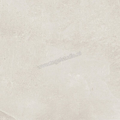  Ragno Realstone_Slate Ice 60x60 cm Vloertegel / Wandtegel Mat Gestructureerd Naturale R5ZF | 393415