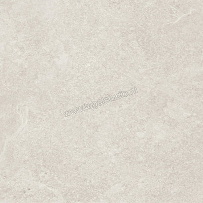  Ragno Realstone_Slate Ice 60x60 cm Vloertegel / Wandtegel Mat Gestructureerd Naturale R5ZF | 393418