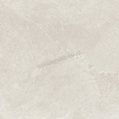  Ragno Realstone_Slate Ice 60x60 cm Vloertegel / Wandtegel Mat Gestructureerd Naturale R5ZF | 393421