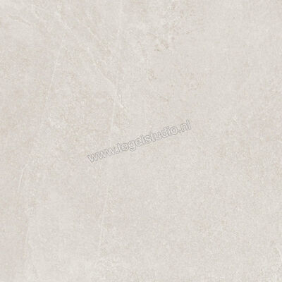  Ragno Realstone_Slate Ice 60x60 cm Vloertegel / Wandtegel Mat Gestructureerd Naturale R5ZF | 393424