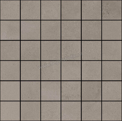  Ragno Replace Tortora 30x30 cm Mozaiek 5x5 Mat Vlak Naturale R5MN | 393817