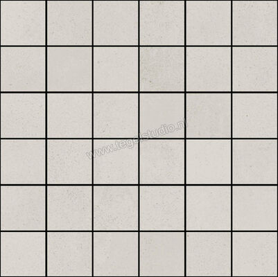  Ragno Replace Bianco 30x30 cm Mozaiek 5x5 Mat Vlak Naturale R5ML | 393823