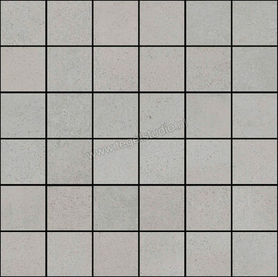  Ragno Replace Grigio 30x30 cm Mozaiek 5x5 Mat Vlak Naturale R5MK | 393826