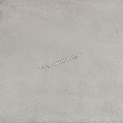  Ragno Replace Grigio 60x60 cm Vloertegel / Wandtegel Mat Vlak Naturale R5JD | 393862