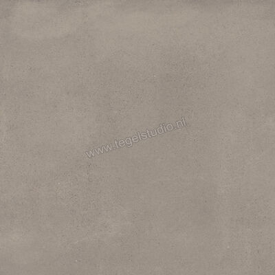  Ragno Replace Tortora 45x45 cm Vloertegel / Wandtegel Mat Vlak Naturale R55M | 393877