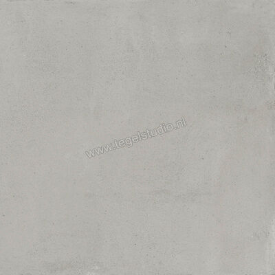  Ragno Replace Grigio 60x60 cm Vloertegel / Wandtegel Mat Vlak Naturale R4NT | 393940